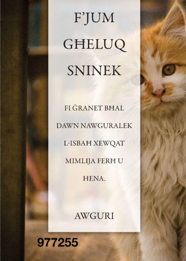 Picture of FJUM GHELUQ SNINEK KARTOLINA